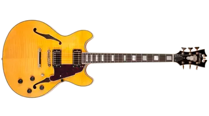 Double Cut Semi-Hollow Electric Guitar - Natural